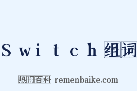Switch组词是什么意思的图片